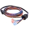 110/187/250 Female Flag Spade Terminal Connector Wiring Harness with Waterproof Plug for Automotive Stereo supplier